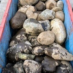 ☆無料０円  大量 園芸 石 いろいろ　重石などに