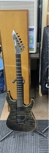 珍しいギターです