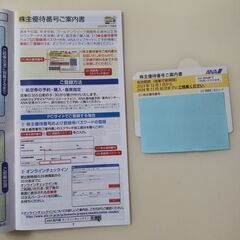 ANA株主優待券（1枚）2024年11月30日まで