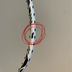 アストロクス99proの画像