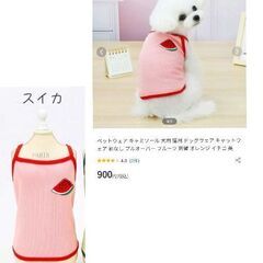 犬服/スイカのキャミソール（新品）XS/超小型犬.猫用の画像