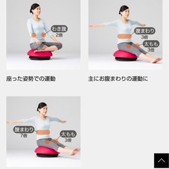 【※受渡予定者決定】THRIVE バランスボーイの画像