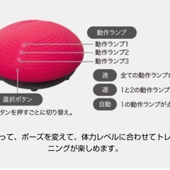 【※受渡予定者決定】THRIVE バランスボーイの画像
