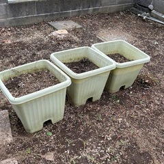 【無料】プラスチック植木鉢3個土入り