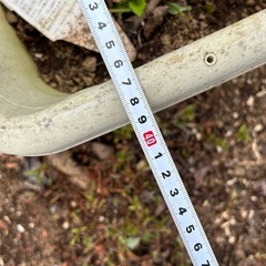 【無料】プラスチック植木鉢3個土入りの画像