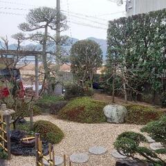 個人邸の植木剪定作業員募集‼️日払いで17000円迄お支払いします。