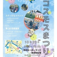神川町コスモス祭り