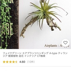 エアプランツハンギング A-type ティランジア フェイクグリ...