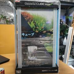 GEX グラステリア 300H 6点セット 新品未開封