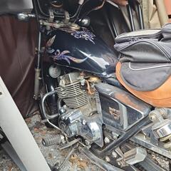 ホンダレブルスペシャル250の画像