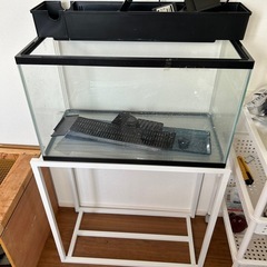 規格60cm水槽＋gex水槽台＋上部濾過槽セット＋サーモ機能付き...