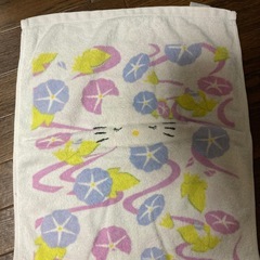 サンリオ　朝顔　ハローキティ5の画像