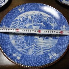 【超大皿】皿鉢料理・お寿司・天ぷらの画像