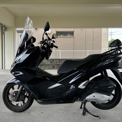 pcx jf81