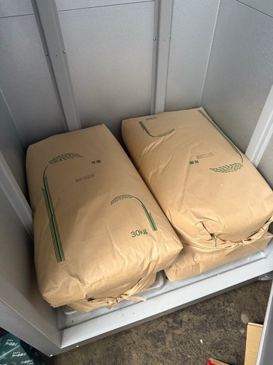 無農薬 令和5年米