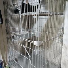 猫のケージの画像