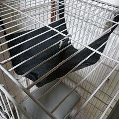 猫のケージの画像