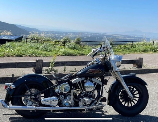 ハーレーショベル