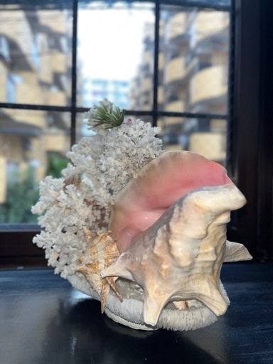 天然珊瑚の置物 - 海底の桜の夢 