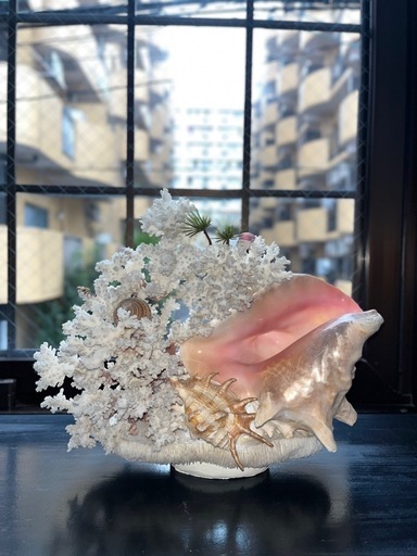 天然珊瑚の置物 - 海底の桜の夢