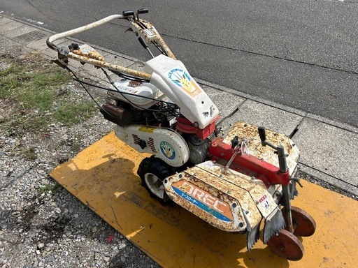 バイオアロマ お買い得品 ホーリーバジルプレミアムEX エキナケア