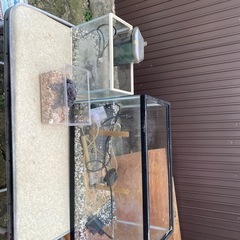 決まりました差し上げますの画像