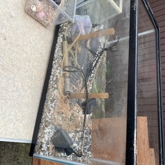 決まりました差し上げますの画像