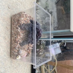 決まりました差し上げますの画像