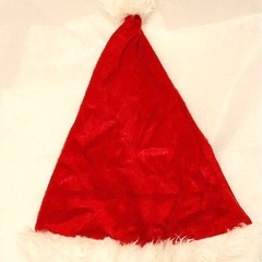 美品　1回着用 サンタガール 2点セット サンタコス クリスマス サンタクロース コスプレの画像