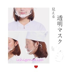 透明マスク マスク 衛生マスク 飲食店 接客 美容 医療 育児 炊事 飛沫防止 抗菌 曇り防止 潤み防止 笑顔見える 業務用 衛生 耳掛けタイプ 20個入の画像