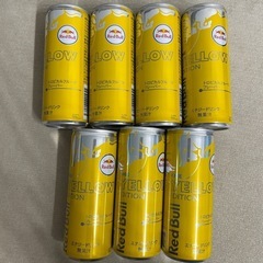 レッドブル　トロピカルフルーツ　250mL