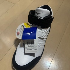 ミズノ　安全靴　新品の画像
