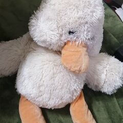 友達から仲良くしてください。