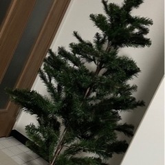 決まりました クリスマスツリー　IKEA イケア　　FEJKA ...