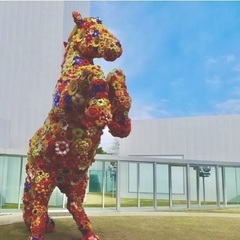 異職種交流イベントin十和田 - 十和田市