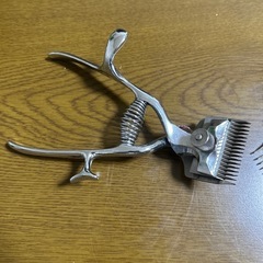 ホームバリカンの画像