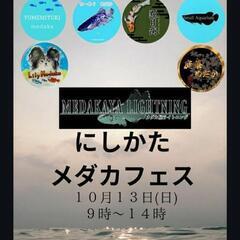 10月13日 にしかた　メダカフェス　