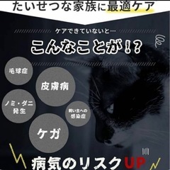 未使用❣️ペットケアブラシ 爪切りの画像