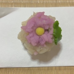 茶道　表千家不白流　体験できます☆彡の画像