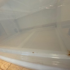 【決まりました】こまち　旧わんだふるさまの画像