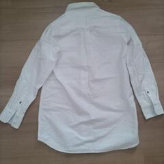 TOMMY シャツの画像