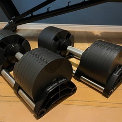 【売約済み】フレックスベル 32kg×2 インクラインベンチの画像
