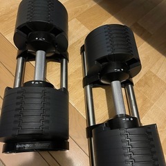 【売約済み】フレックスベル 32kg×2 インクラインベンチの画像