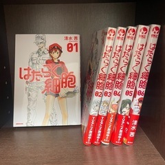 予定者あり【値下げ】【短期掲載】【美品/全巻セット】働く細胞