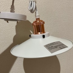 裸電球