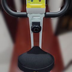 イグニオ(IGNIO) フィットネスバイク IG-FB002LX...