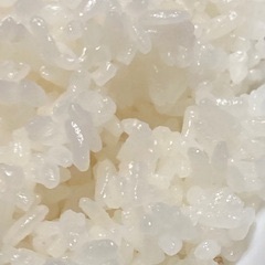 魚沼産こしひかり