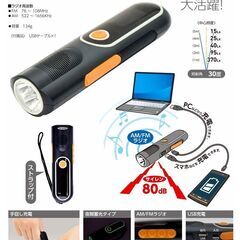 日動 自家発電LEDライト 手回し充電 ラジオ付 LEH-05W-PG 防災の画像