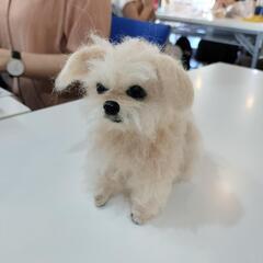 🍁羊毛フェルト教室 そっくり愛犬講座🐕の画像