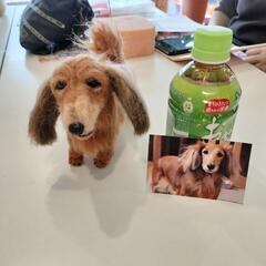 🍁羊毛フェルト教室 そっくり愛犬講座🐕の画像